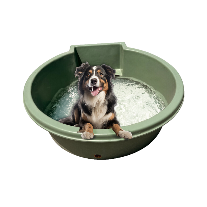 Green 700L Dog Pool with Border Collie