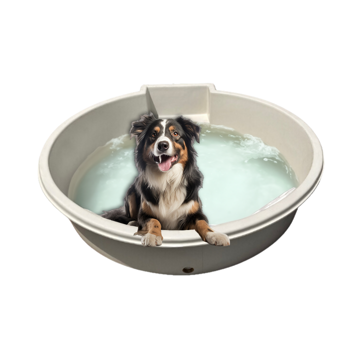 White 700L Dog Pool